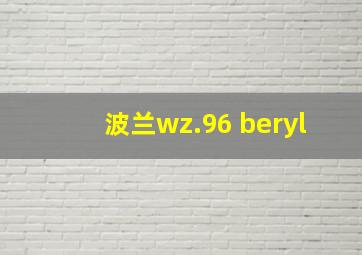 波兰wz.96 beryl